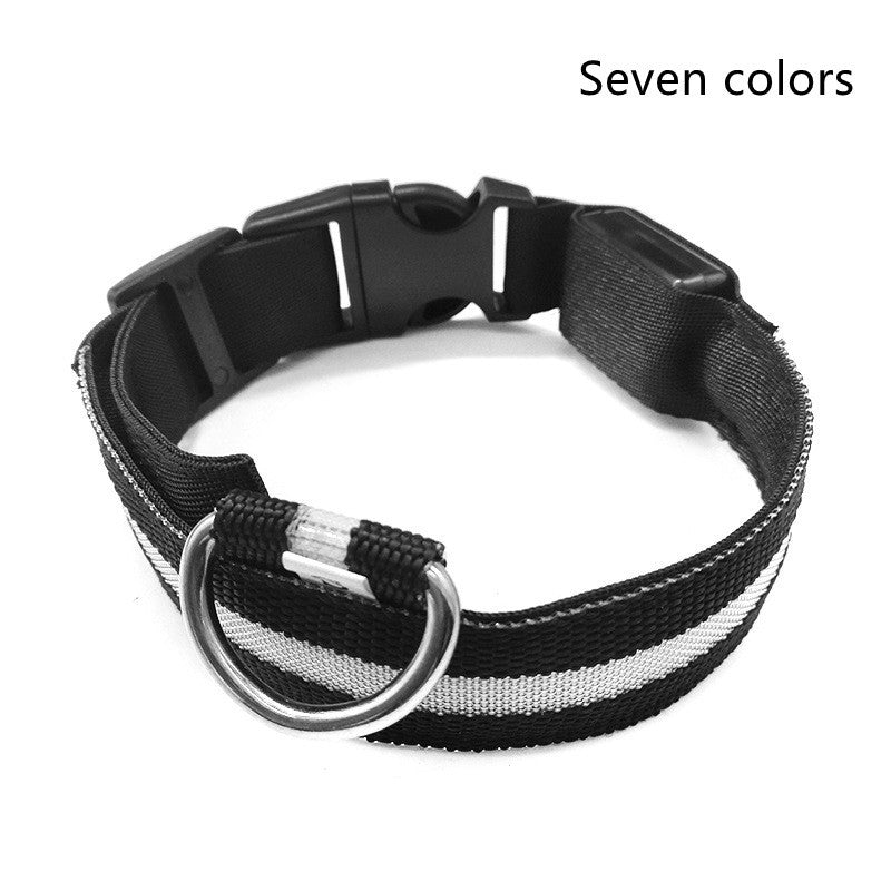 LED Lichtgevende Hondenhalsband