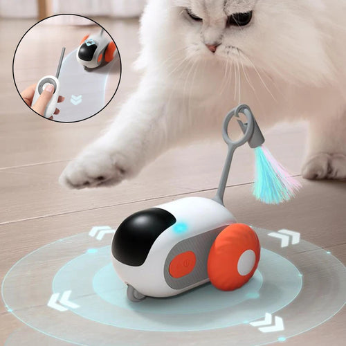 Interactieve Afstandsbestuurbare Kattenspeelgoed Auto