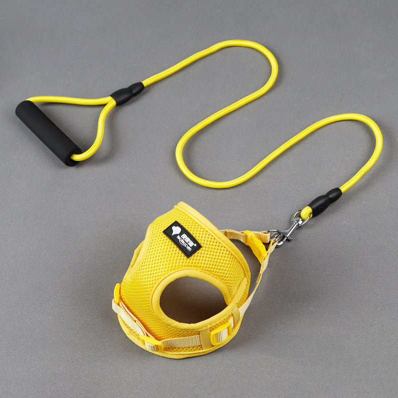 Comfortabele Hondenriem met Schuimhandvat – Inclusief Halsband
