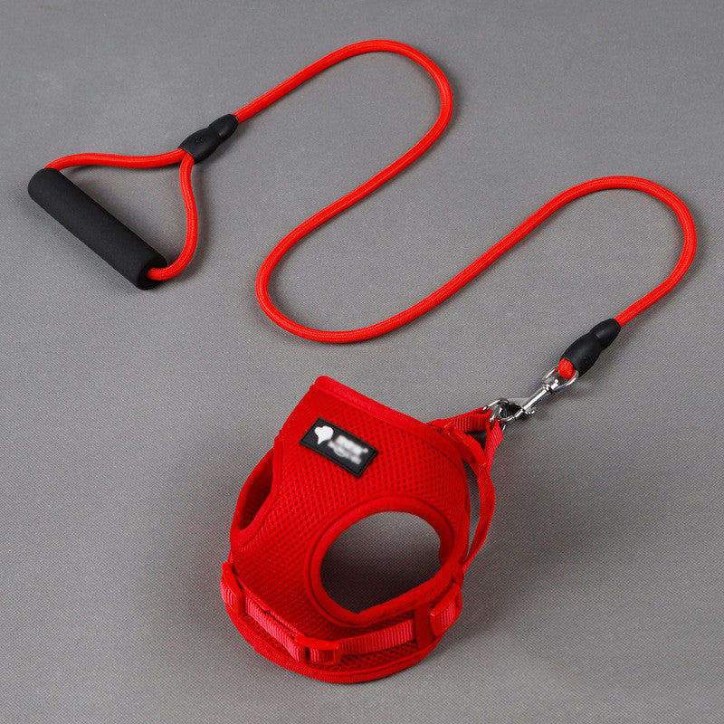 Comfortabele Hondenriem met Schuimhandvat – Inclusief Halsband