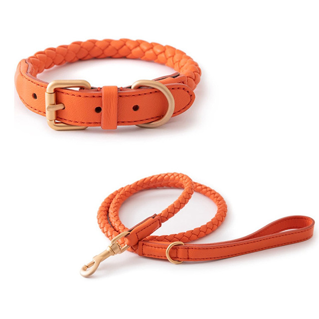 Luxe Leren Hondenhalsband – Sterk, Comfortabel & Stijlvol
