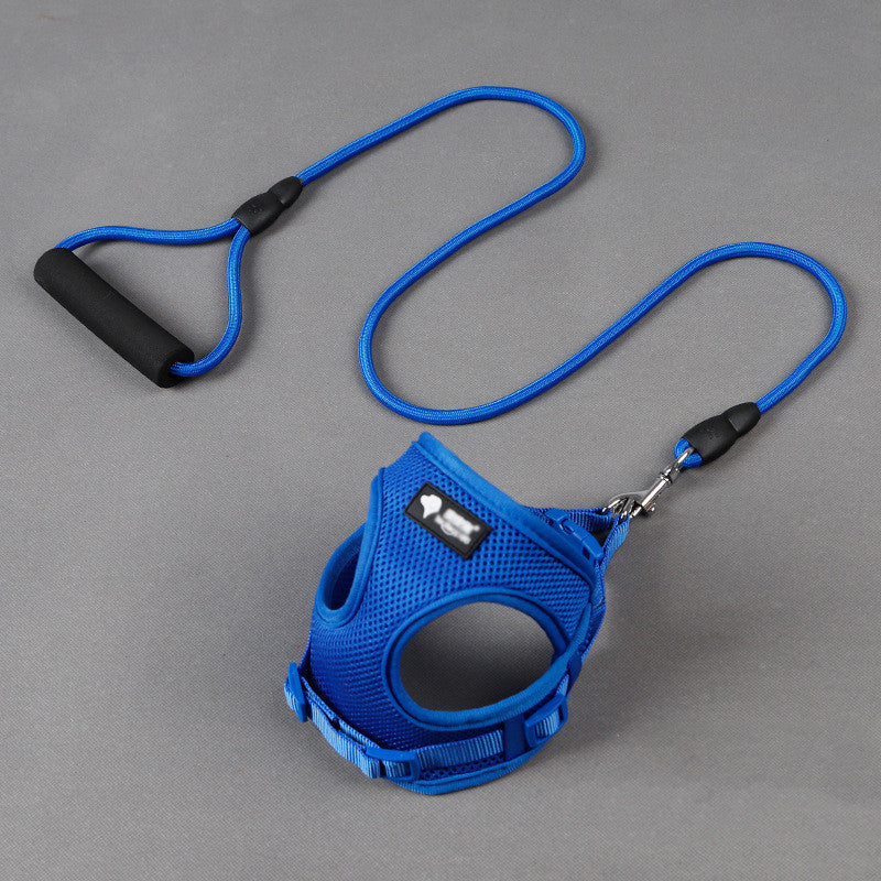 Comfortabele Hondenriem met Schuimhandvat – Inclusief Halsband