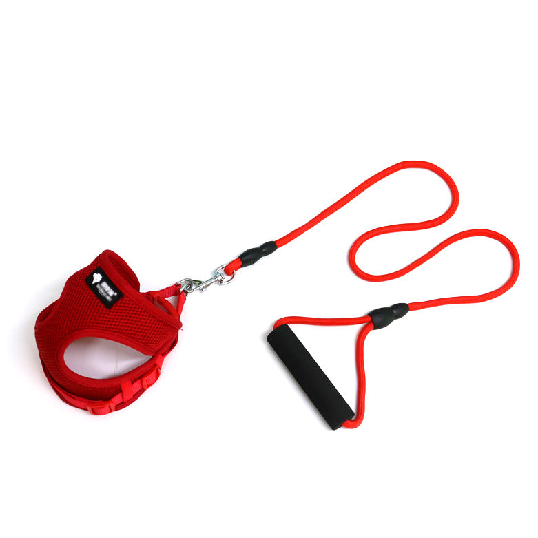 Comfortabele Hondenriem met Schuimhandvat – Inclusief Halsband