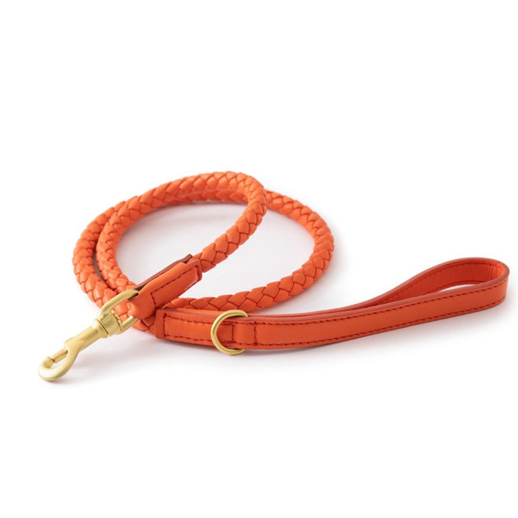 Luxe Leren Hondenhalsband – Sterk, Comfortabel & Stijlvol