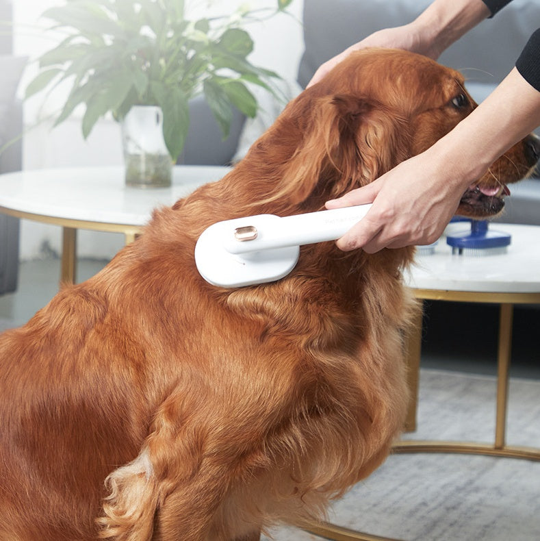 Zelfreinigende Huisdierborstel – Voor Katten & Honden, Anti-verharing en Massage