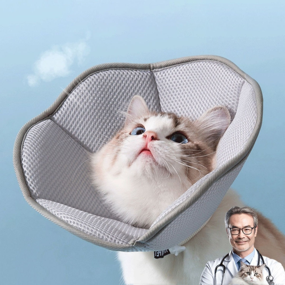 Ringvormige Herstelkraag voor Katten – Anti-Krab en Comfortabel