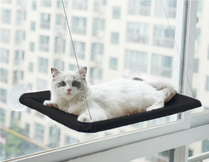 Kattenraam Hangmat met Zuignappen – Comfort & Uitzicht in Één
