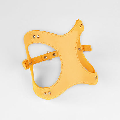 Leren Borsttuigje met Lijn voor Kleine en Middelgrote Huisdieren