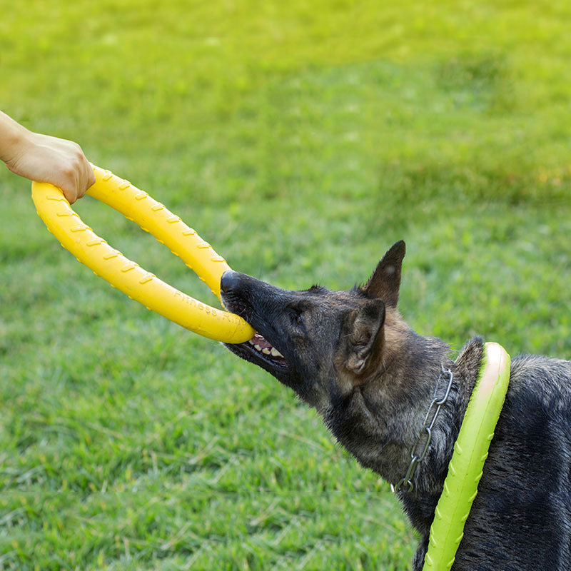 Trainingsring voor Honden