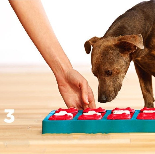 Leaky Food Toy – Slim Speeltje & Voerdispenser in Één