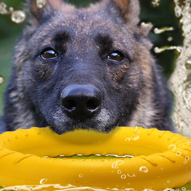 Trainingsring voor Honden