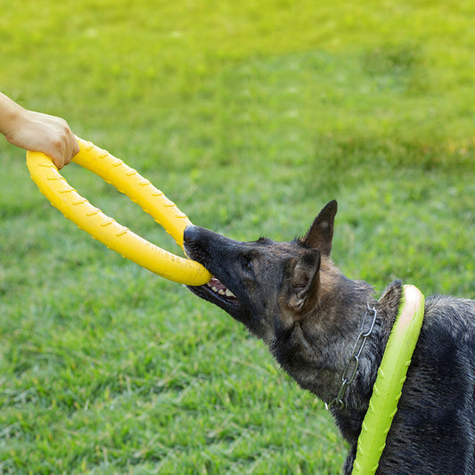Trainingsring voor Honden
