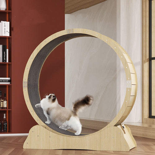 Kattenloopband – Stille Fitnessroller voor Actieve Katten