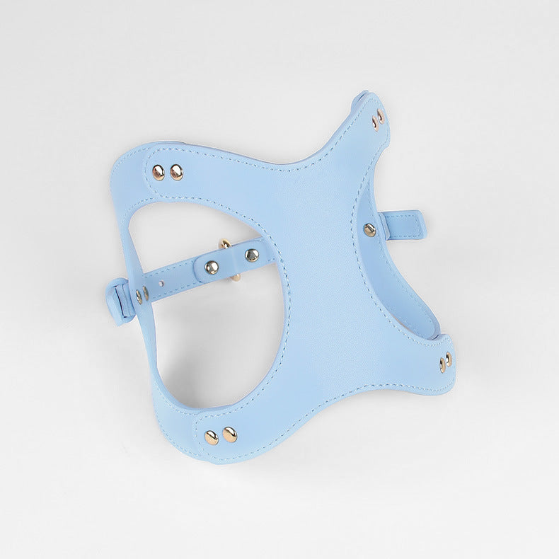 Leren Borsttuigje met Lijn voor Kleine en Middelgrote Huisdieren