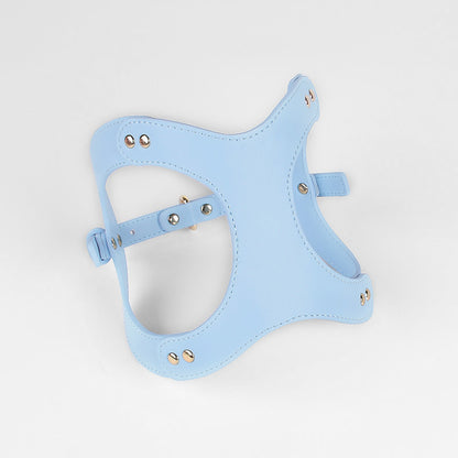 Leren Borsttuigje met Lijn voor Kleine en Middelgrote Huisdieren