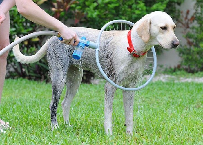Bad- en Massageborstel 360 graden voor Honden