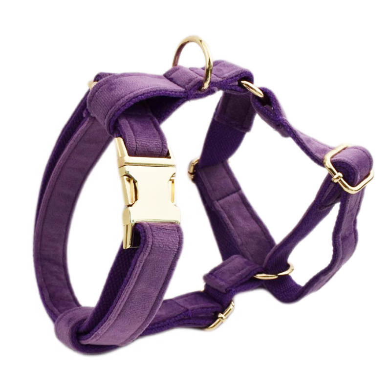Luxe Fluwelen Hondenhalsband Set – Stijlvol, Comfortabel & Compleet