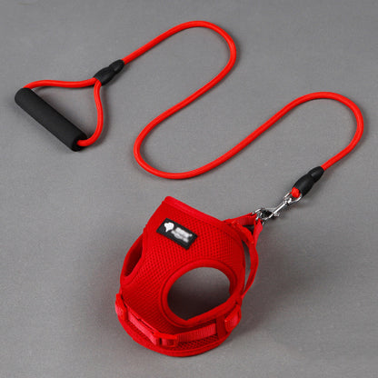 Comfortabele Hondenriem met Schuimhandvat – Inclusief Halsband