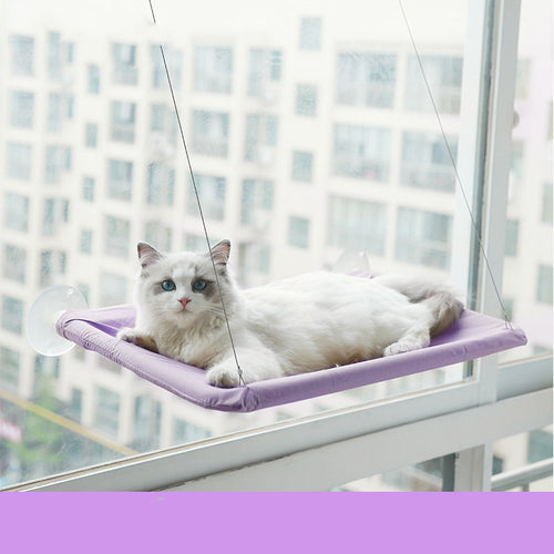 Kattenraam Hangmat met Zuignappen – Comfort & Uitzicht in Één