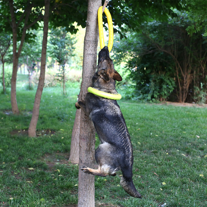 Trainingsring voor Honden