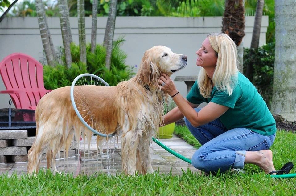 Bad- en Massageborstel 360 graden voor Honden