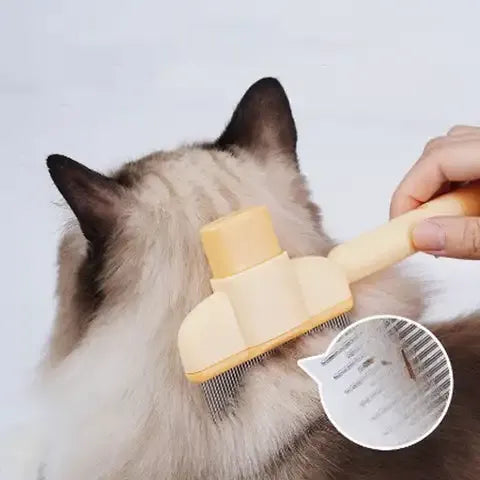 Dé Must-Have Borstel voor Elke Dierenliefhebber