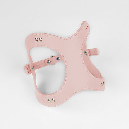 Leren Borsttuigje met Lijn voor Kleine en Middelgrote Huisdieren