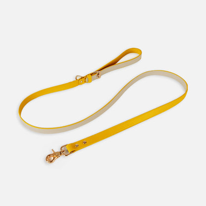 Leren Borsttuigje met Lijn voor Kleine en Middelgrote Huisdieren