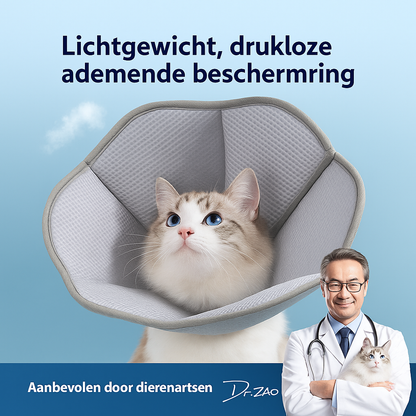 Ringvormige Herstelkraag voor Katten – Anti-Krab en Comfortabel