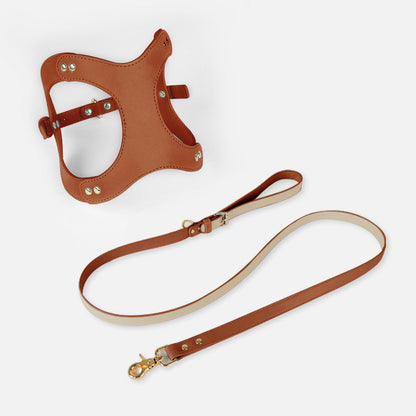 Leren Borsttuigje met Lijn voor Kleine en Middelgrote Huisdieren