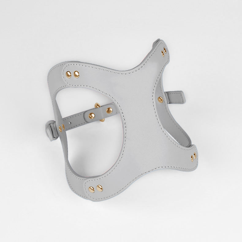 Leren Borsttuigje met Lijn voor Kleine en Middelgrote Huisdieren