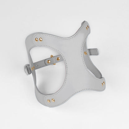 Leren Borsttuigje met Lijn voor Kleine en Middelgrote Huisdieren