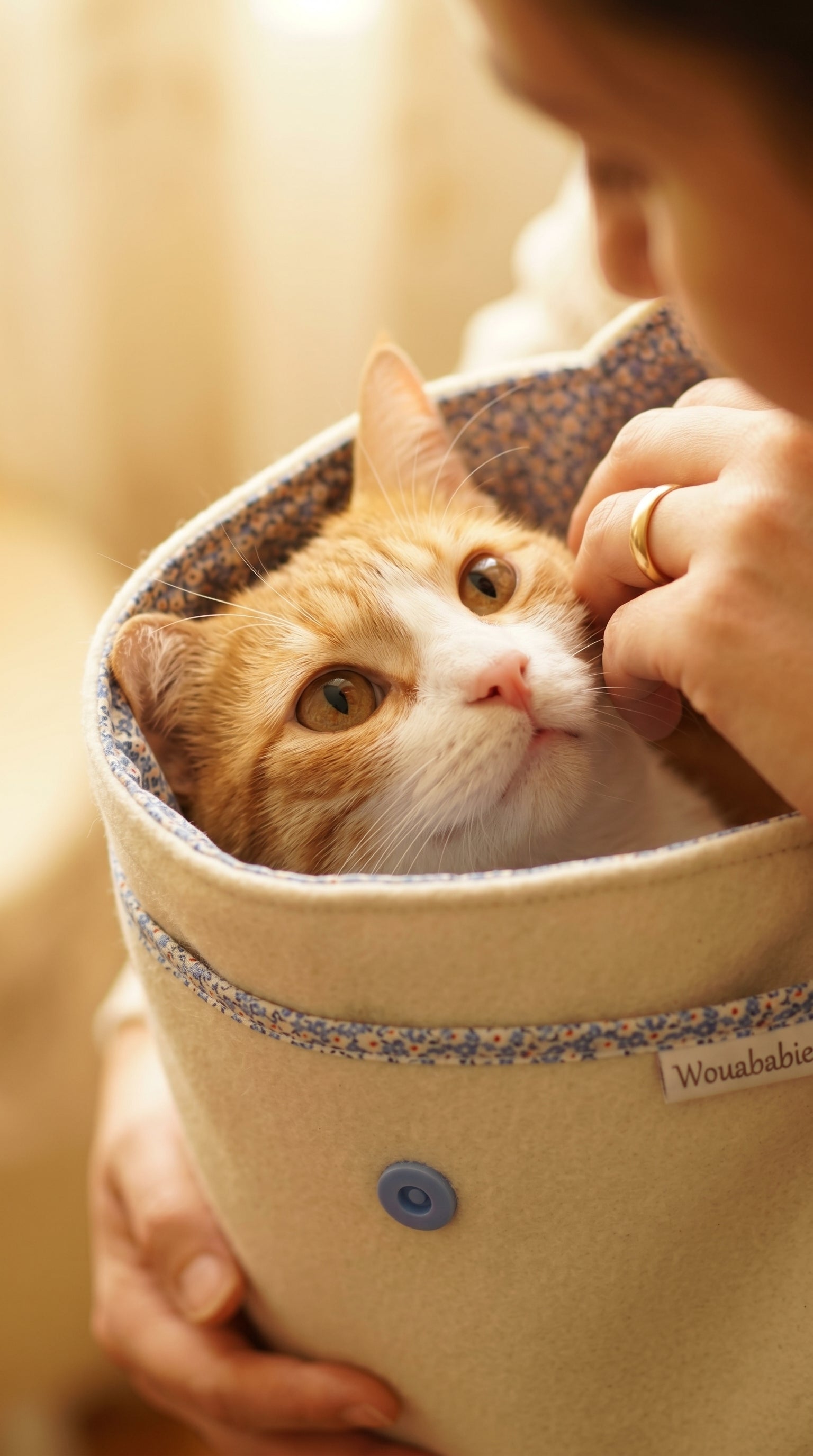 Draagbare Kattenreistas – Lichtgewicht & Stijlvol voor Onderweg – afbeelding 12