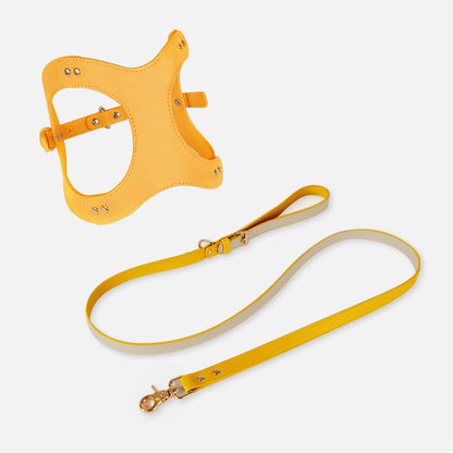 Leren Borsttuigje met Lijn voor Kleine en Middelgrote Huisdieren
