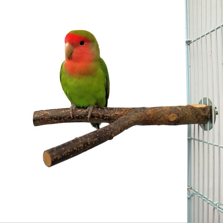 Houten Vogelsta-Ring met Appelhout – Speel- en Kauwspeeltje voor Kooivogels