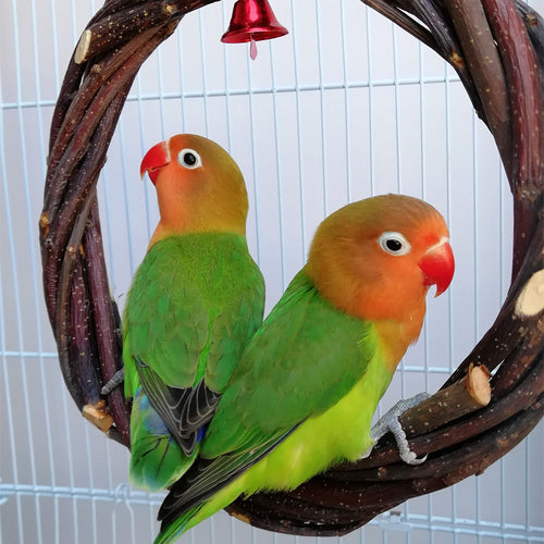 Houten Vogelsta-Ring met Appelhout – Speel- en Kauwspeeltje voor Kooivogels