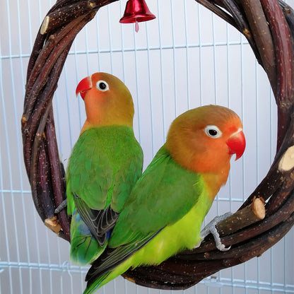 Houten Vogelsta-Ring met Appelhout – Speel- en Kauwspeeltje voor Kooivogels